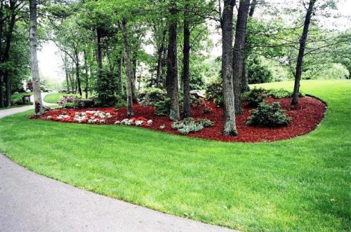 Tree Group Landscaping